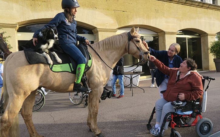 Aurélie à cheval face à une personne en fauteuil